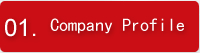 Company Profile