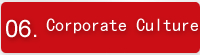 Corporate Culture